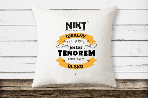 poduszka2 kopia.jpg