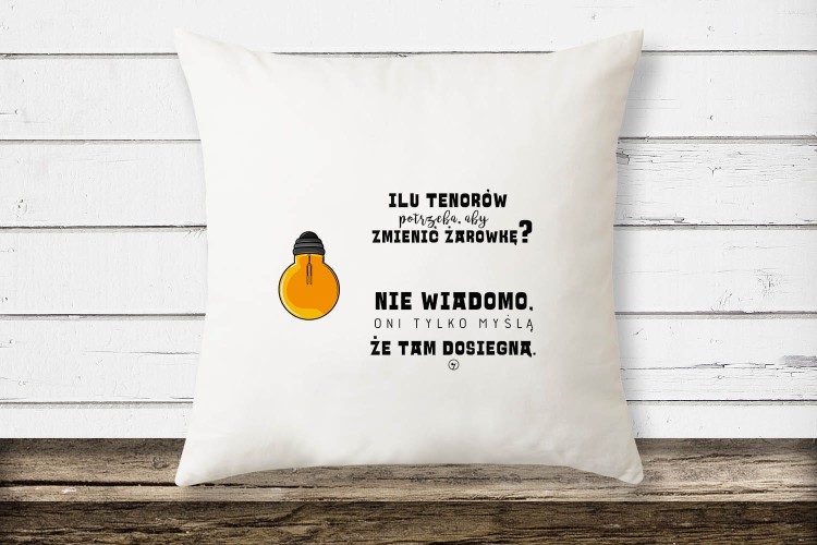 poduszka2 kopia.jpg