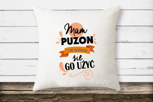 poduszka2 kopia.jpg