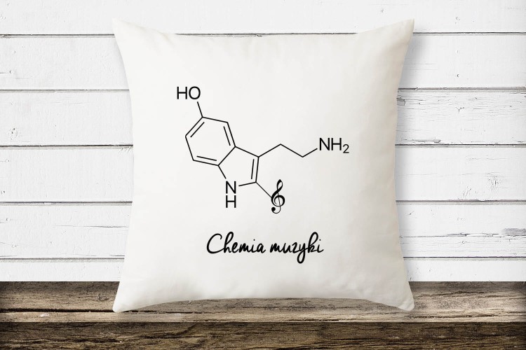 poduszka2 kopia.jpg