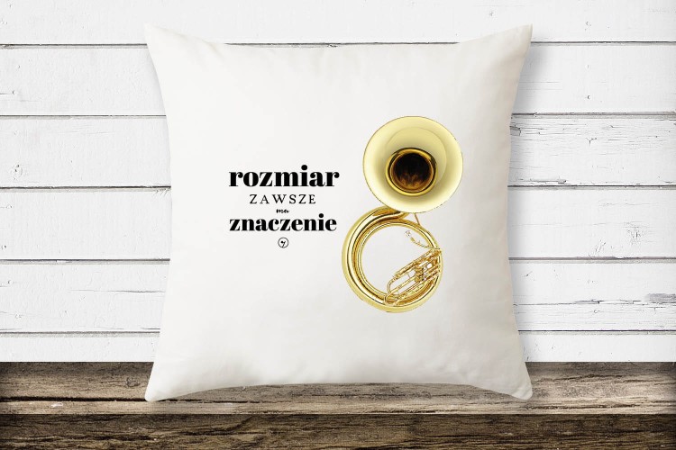 poduszka2 kopia.jpg