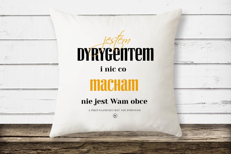 poduszka2 kopia.jpg