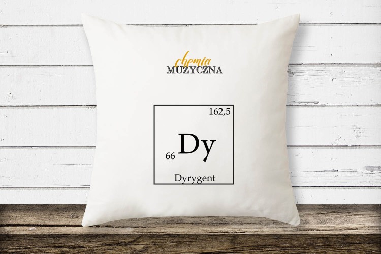 poduszka2 kopia.jpg
