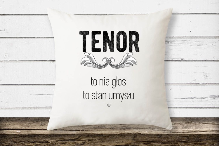 poduszka2 kopia.jpg