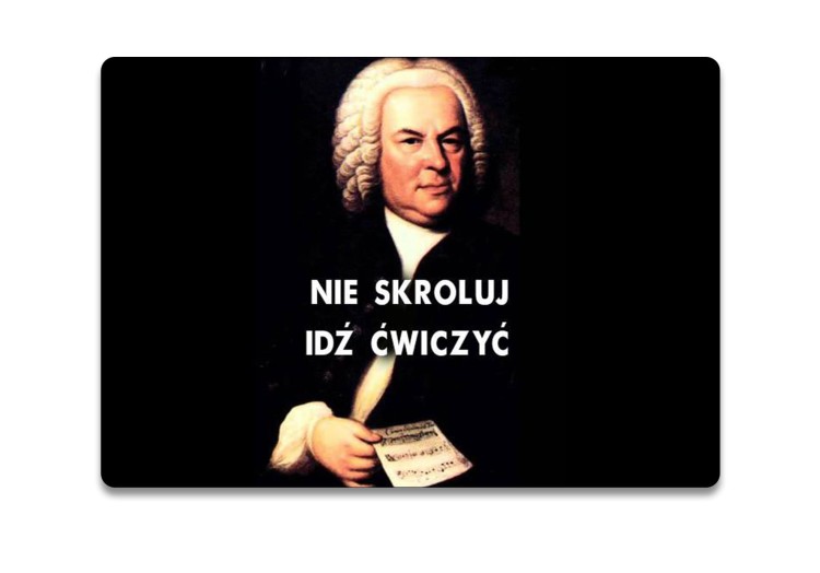 podkladka scollok.jpg