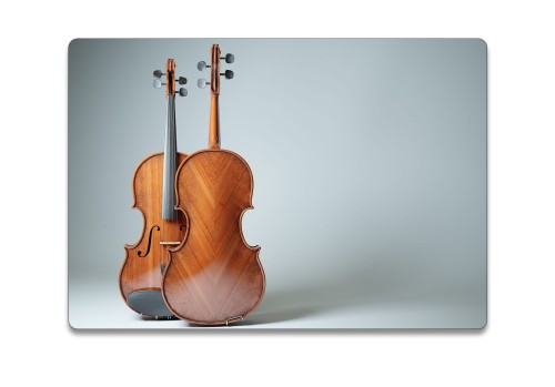 podkladka kopia skrzypce.jpg