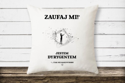 poduszka2 kopia (1).jpg