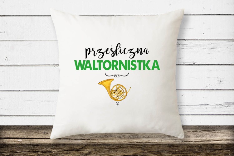 poduszka2 kopia.jpg