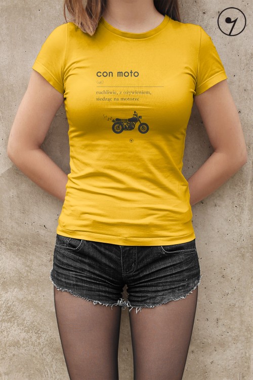 zolta (3).jpg